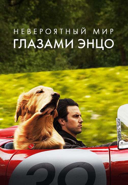 Постер к фильму Невероятный мир глазами Энцо 2019